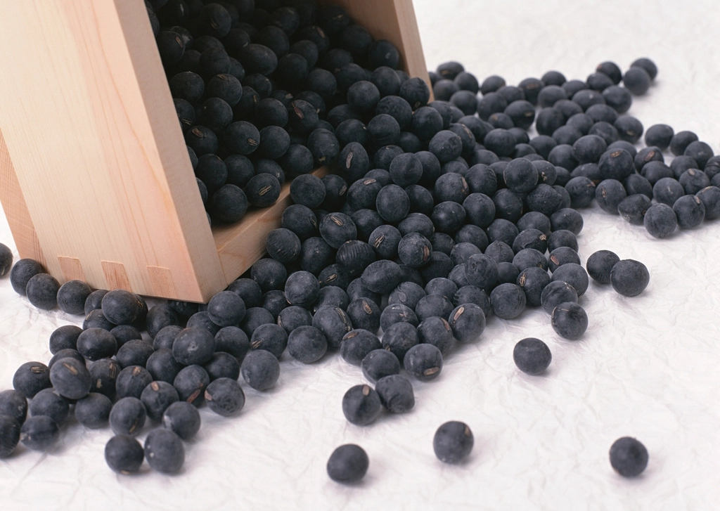 Frijoles de la olla
